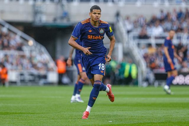 全国总决赛, 村BA, 农特产品展